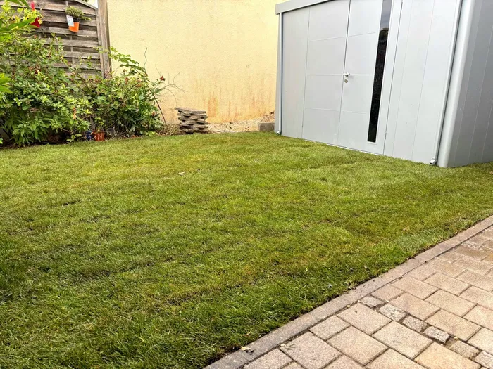 Gartengestaltung mit Rollrasen und Steinweg