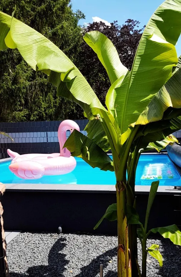 Pool und Gartengestaltung als Wellnessoase umgesetzt
