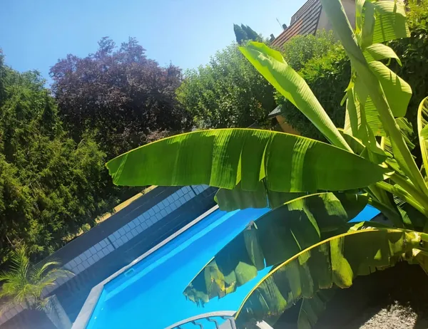 Pool in Garten mit Sichtschutzwand eingebunden